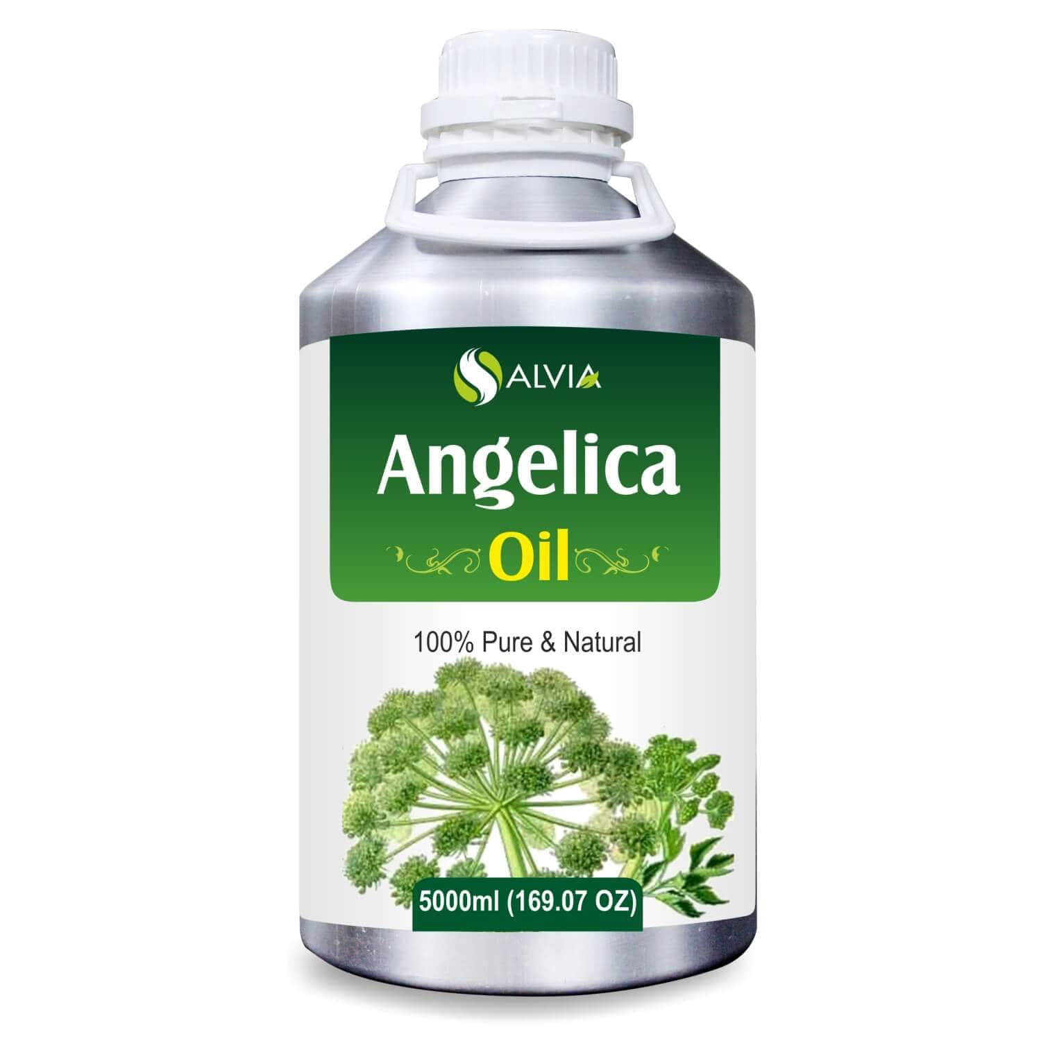 Salvia Natural Essential Oils 5000ml Angelica Essential Oil, 100% Pure, Natural & Undiluted - for Skin Care, Perfume making, Acne, Eases Coughs, Cold & Congestion